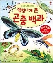 엄청나게 큰 곤충 백과
