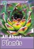 Read and Discover 4: All About Plants