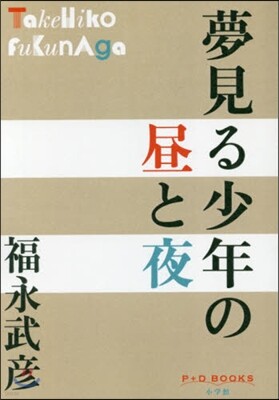 夢見る少年の晝と夜