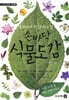 손바닥 식물 도감 여름가을꽃 · 여름가을나무편