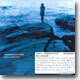 Stina Nordenstam - Memories Of Color