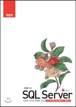 SQL Server 개발편