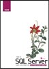 SQL Server 운영편