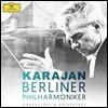 헤르베르트 폰 카라얀과 베를린필의 명반 (Herbert von Karajan & Berliner Philharmoniker - Conductors & Orchestras)