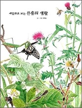 세밀화로 보는 곤충의 생활