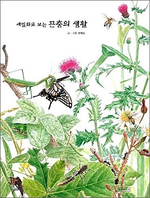 세밀화로 보는 곤충의 생활