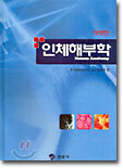 인체해부학