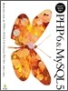 PHP 6 & MySQL 5