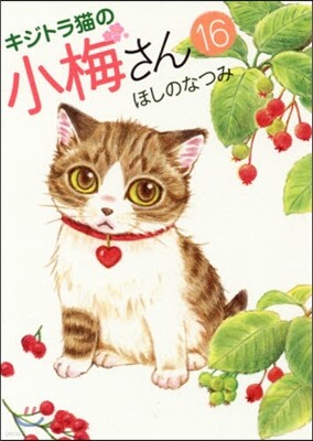 キジトラ猫の小梅さん 16