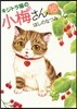 キジトラ猫の小梅さん 16