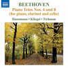 Ib Hausmann / Maria Kliegel / Nina Tichman 베토벤: 클라리넷, 피아노, 첼로를 위한 삼중주 4, 8번 (Beethoven: Piano Trios Nos. 4, 8)