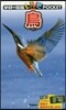 鳥