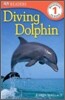 Diving Dolphin