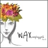 왁스 (Wax) - Unplugged Side B : 리메이크앨범