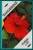 Tangerine Poems at 94