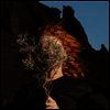 Goldfrapp - Silver Eye (Limited Edition)(Gatefold Cover)(Clear LP)