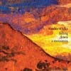 Tindersticks - Falling Down A Mountain