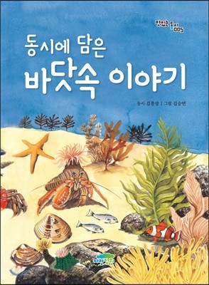 동시에 담은 바닷속 이야기