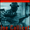 Mississippi Joe Callicott - Ain't A Gonna Lie To You (Vinyl LP)