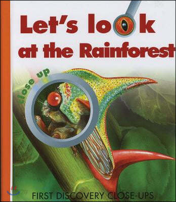 Let&#39;s Look at the Rainforest