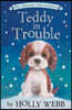 Teddy in Trouble
