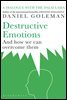 Destructive Emotions
