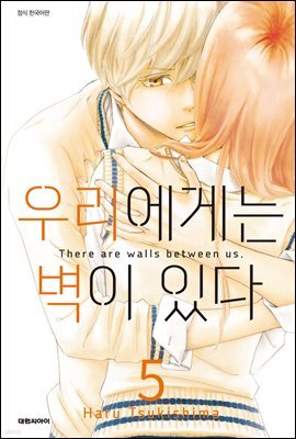 우리에게는 벽이 있다 05권
