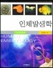 인체 발생학