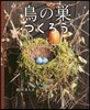 鳥の巢つくろう