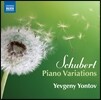 Yevgeny Yontov 슈베르트: 피아노 변주곡 작품집 (Schubert: Piano Variations) 예프게니 욘토프