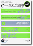 한눈에 보이는 C++ 프로그래밍