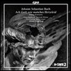 Alfredo Bernardini 바흐: ‘대화’ 칸타타, 오보에 다모레 협주곡 (J.S. Bach: Dialogue Cantatas - BWV58, 32, 57 & Oboe d'Amore Concerto BWV1055R) 알프레도 베르나르디니, 키르크하임 바흐 콘소트