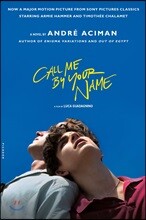 Call Me by Your Name 영화 '콜 미 바이 유어 네임' 원작 소설