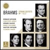 Renaud & Gautier Capucon 브람스: 현악 6중주 1, 2번 (Brahms: String Sextets Op.18, Op.36) 르노 & 고티에 카퓌송 외