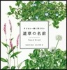 子どもと一緖に覺えたい 道草の名前