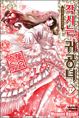 각시는 귀공녀 17권