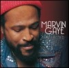 Marvin Gaye (마빈 게이) - Collected [2LP]