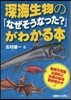 深海生物の「なぜそうなった?」がわかる本