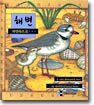 해변