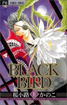 BLACK BIRD 11