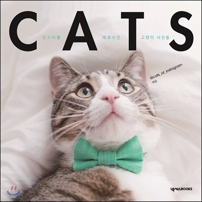 캐츠 CATS