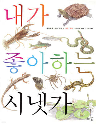 내가 좋아하는 시냇가 (보급판)