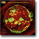 311 - From Chaos