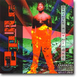 2Pac - Strictly 4 My N.I.G.G.A.Z...