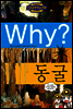 Why? 와이 동굴