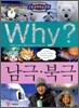 Why? 와이 남극, 북극