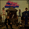 Flying Burrito Brothers - Gilded Palace Of Sin (180g LP)