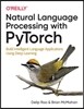 Natural Language Processing with Pytorch: Build Intelligent Language Applications Using Deep Learning