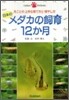 日本のメダカの飼育12か月