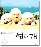 섬과 개